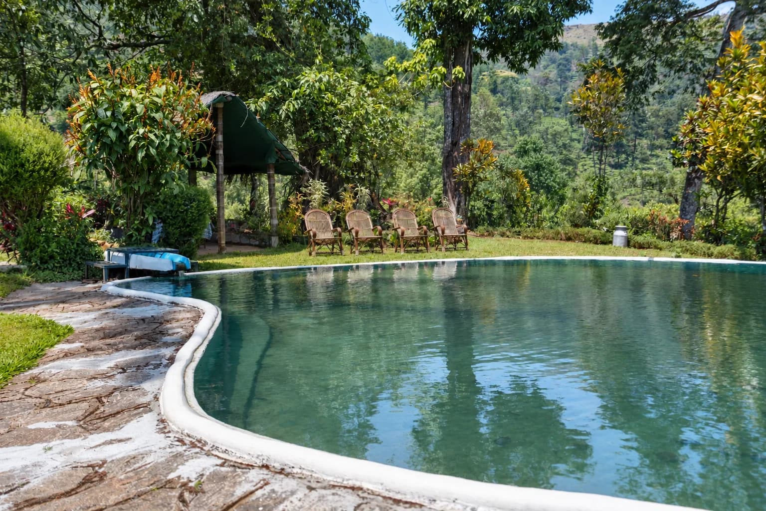 The pool, cut into the slope with forest rising behind it