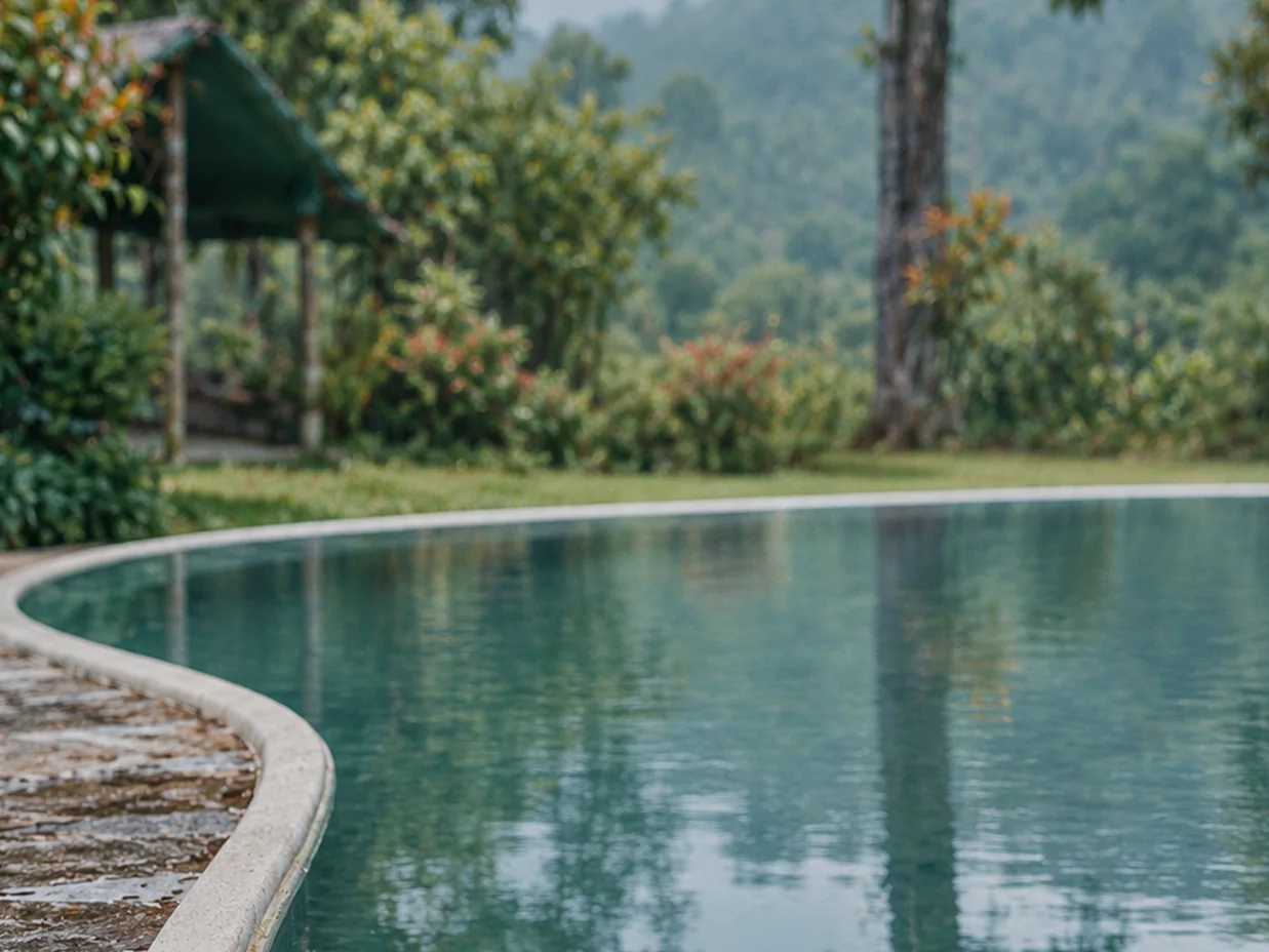 The curved edge of a pool, forest and hills rising beyond it through the mist