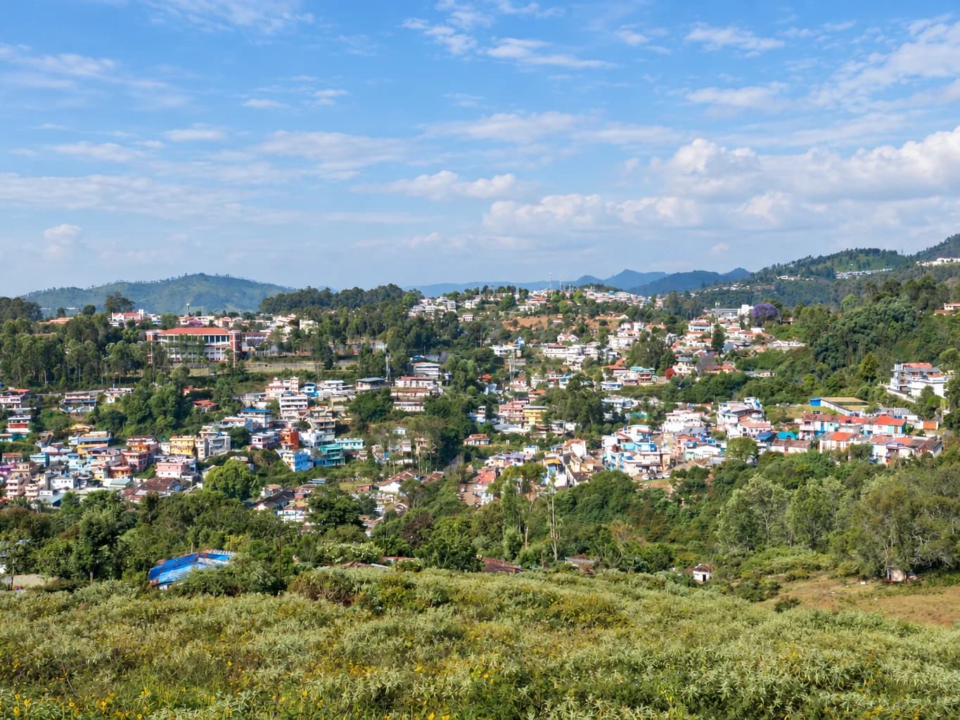 The Nilgiri hills above Coonoor, houses scattered among the trees below 180° McIver