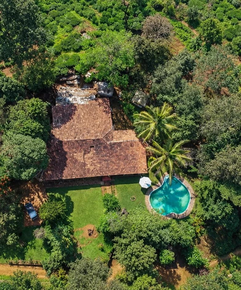 Amberina from the air, its tiled roof and small pool set deep among plantation trees